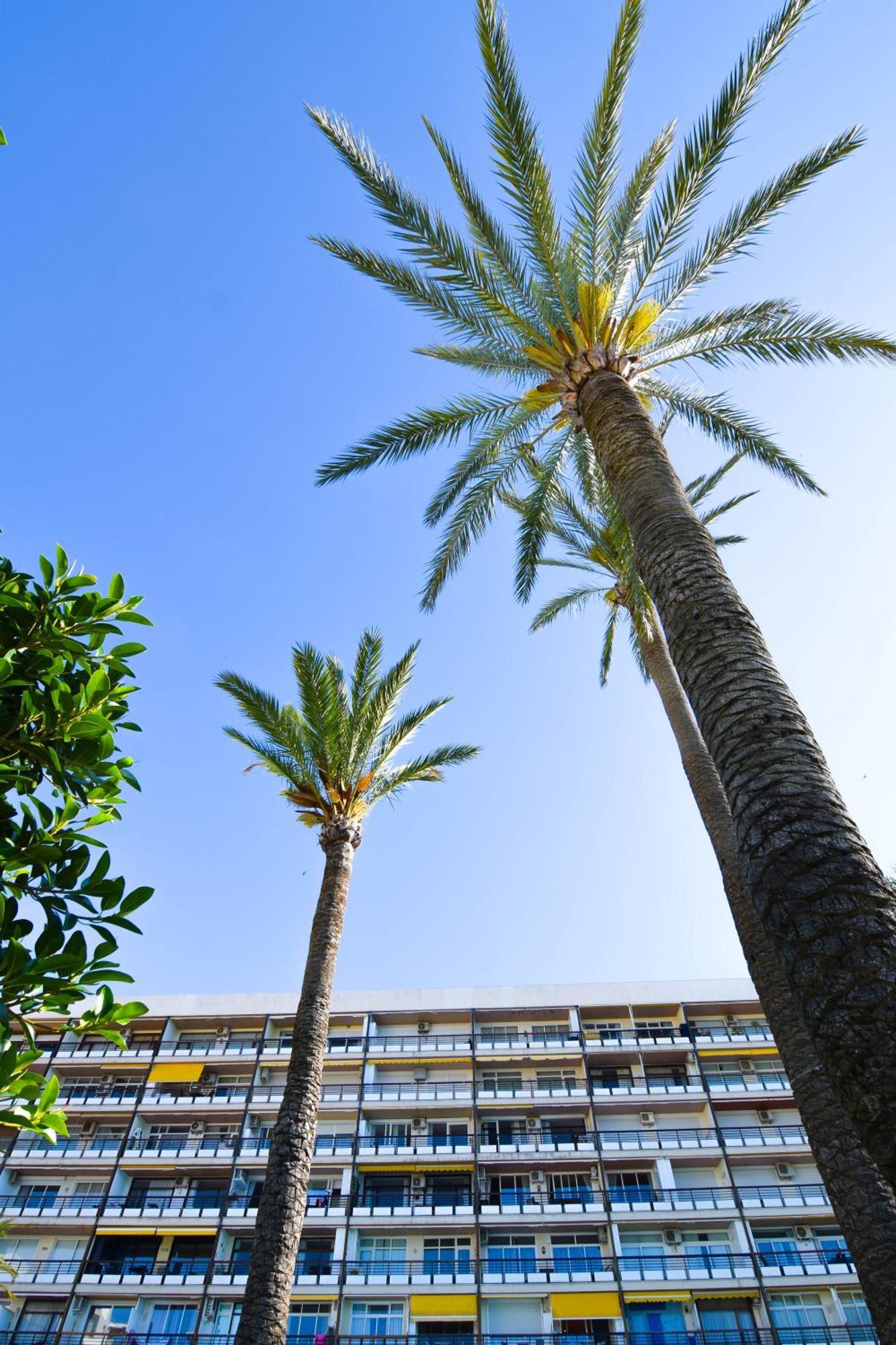 Letmalaga Santa Clara Apartment
